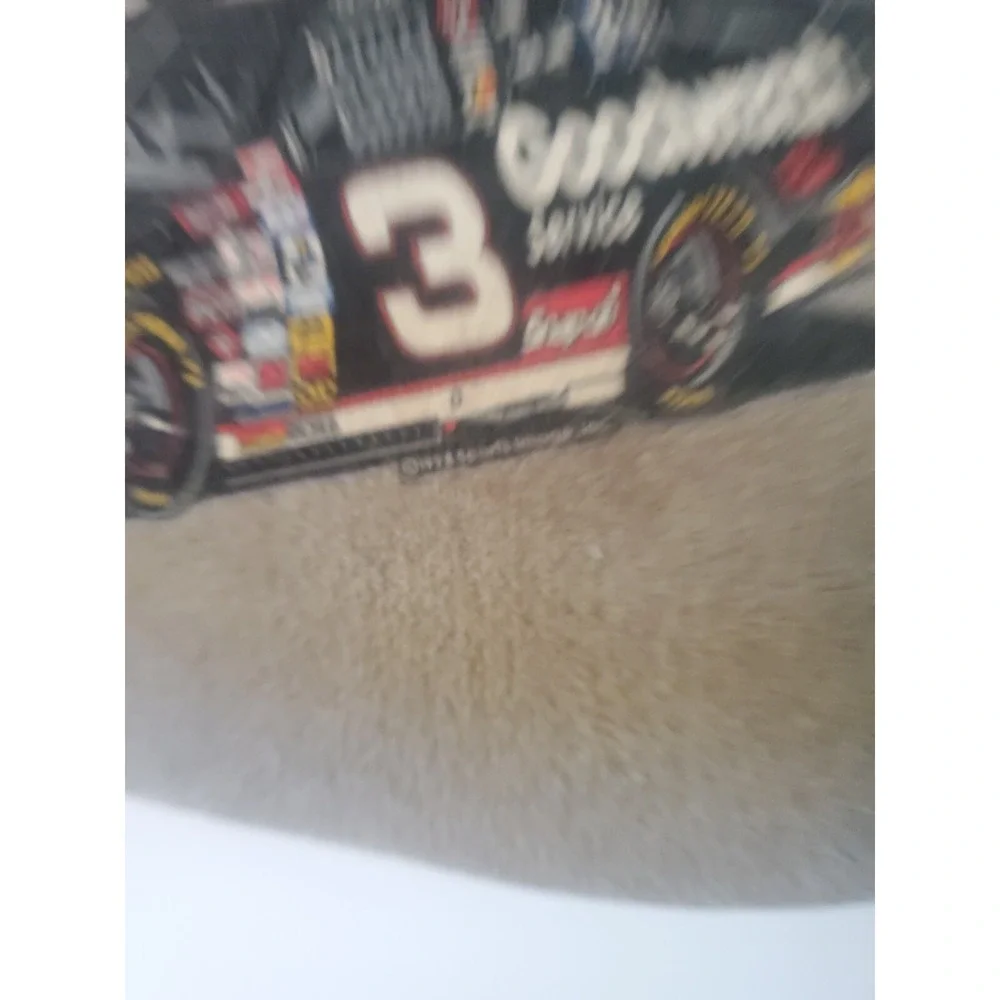 RARE Vintage Dale Earnhardt Sr #3 Car Floor Mats Made In USA 1997 Mat World
